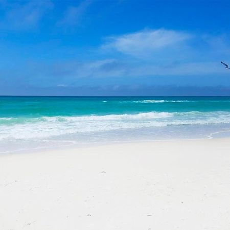 Laguna Beach Breeze Panama City Beach Eksteriør billede